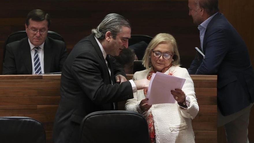 Carlos Suárez y Mercedes Fernández, en la Junta General del Principado.