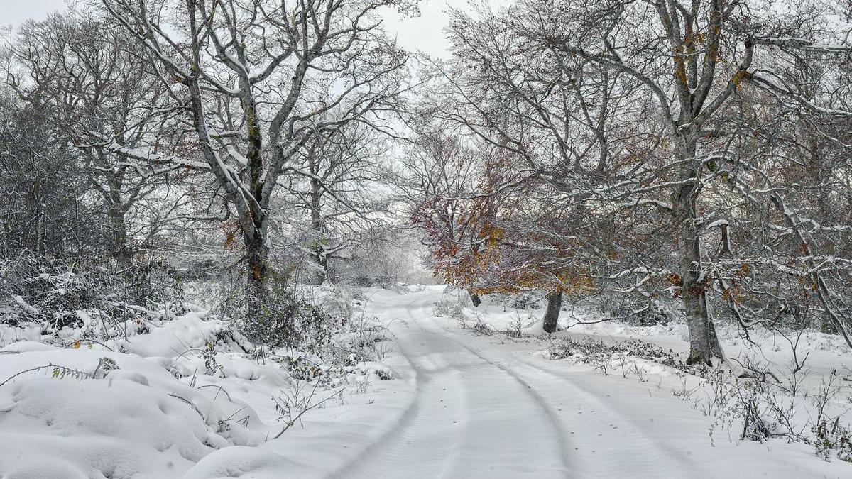 Cuándo empieza el invierno