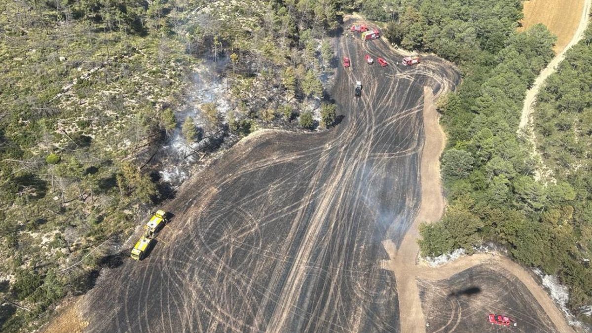 El terreny afectat per l'incendi de Bellprat