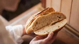 ¿Qué le pasa a tu cuerpo si comes pan todos los días? (el secreto está en la masa)