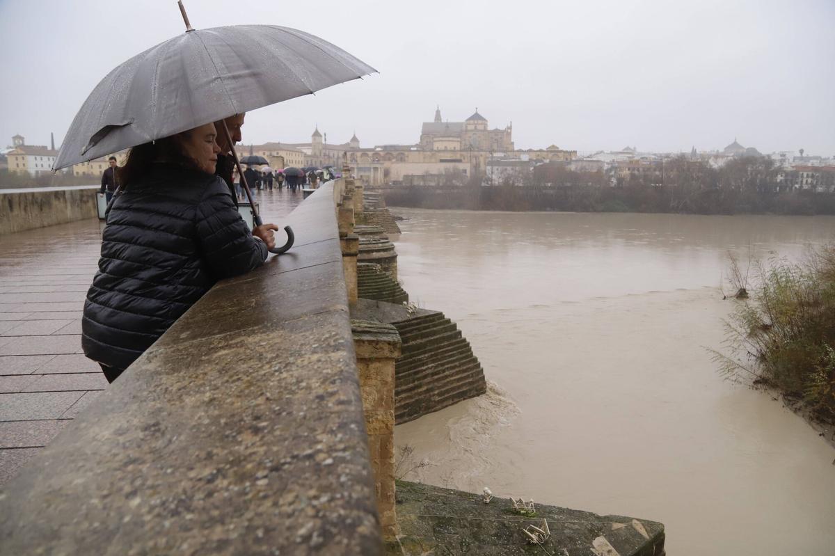 Varias personas observan el cauce del Guadalquivir en el Puente Romano de Córdoba, ayer.
