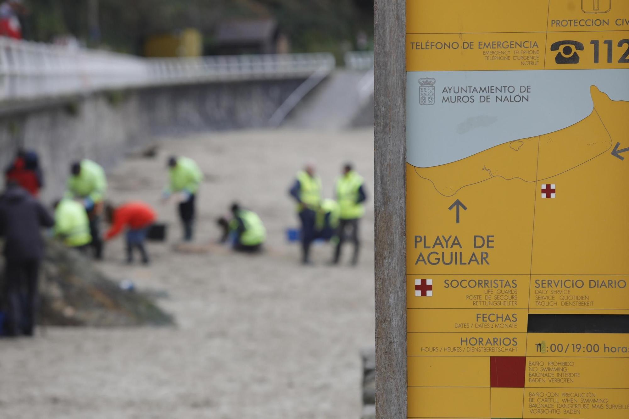 Operarios de TRAGSA recogen pellets de plástico en Muros