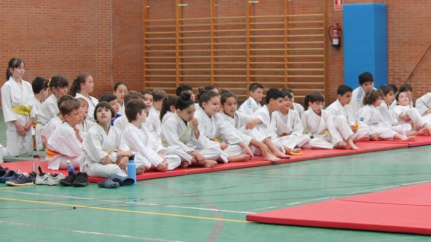 Imagen de los juegos escolares de judo en Zamora.