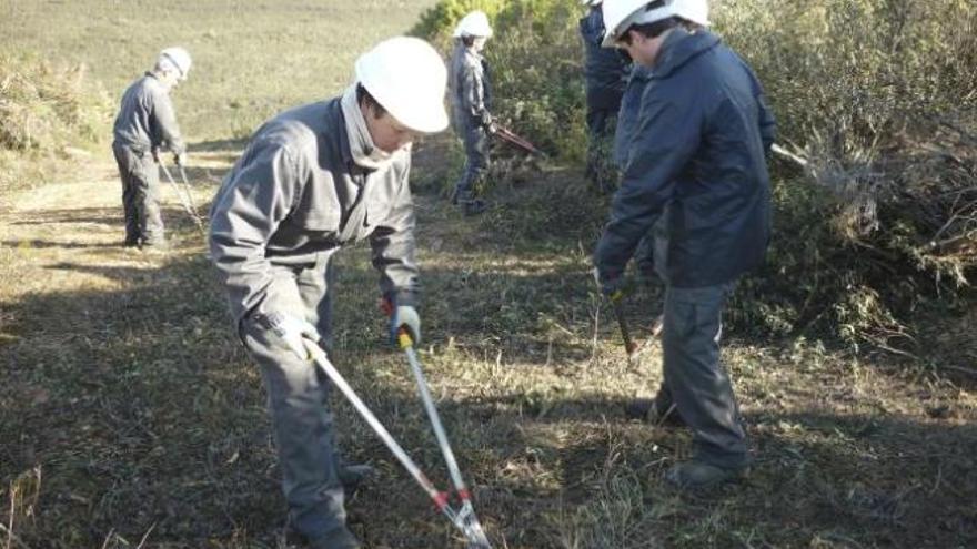 Los alumnos del taller de empleo realizan trabajos forestales.