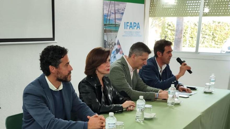 Participantes en la jornada sobre cítricos celebrada este viernes en el Ifapa de Palma.