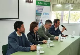 El Ifapa prepara una aplicación que mejorará la eficiencia en el riego