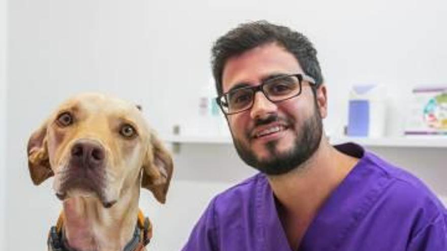 El veterinario Rafael Durá, con su mascota, ayer en su clínica de Elche.