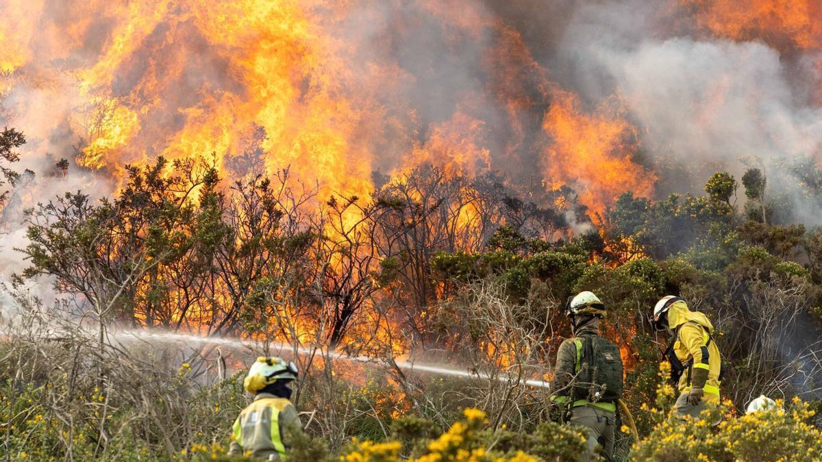 Quema prescrita en la parroquia de Baíñas (Vimianzo), llevada a cabo por la Consellería de Medio Rural de la Xunta, como medida de prevención de incendios forestales y para favorecer la caza menor. INCENDIOS CONTROLADOS. PREVENTIVOS. ELIMINACION DE MALEZA. MATORRALES