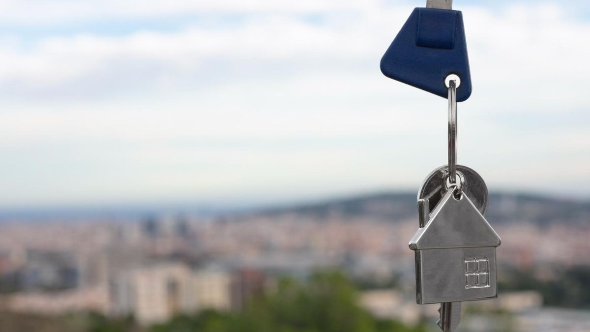 Así ha afectado la regulación del precio del alquiler de la vivienda en España: "Es como prohibirle a la leona cazar a la cebra"