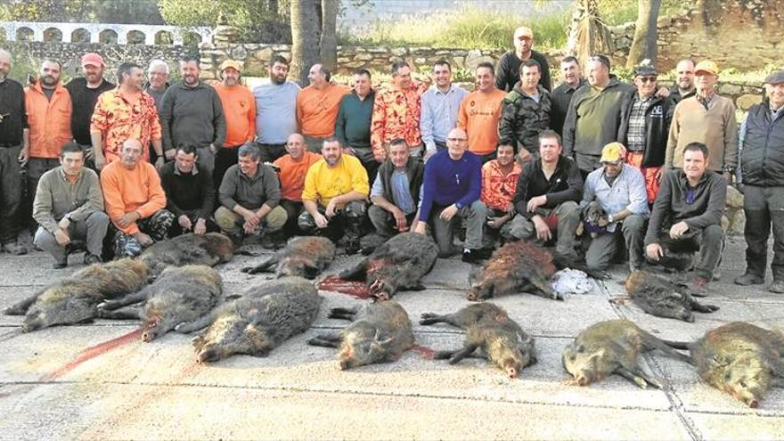 Capturan una docena de jabalís cerca de la N-232, en Sant Jordi