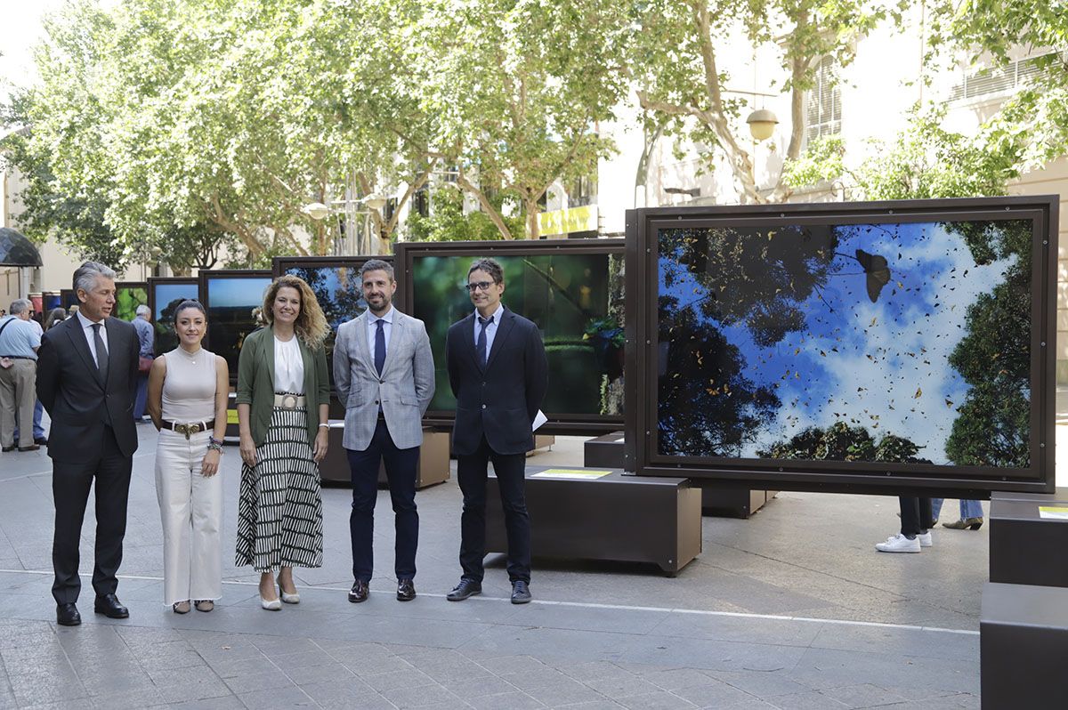 Las fotos de National Geographic en la Bienal de Córdoba