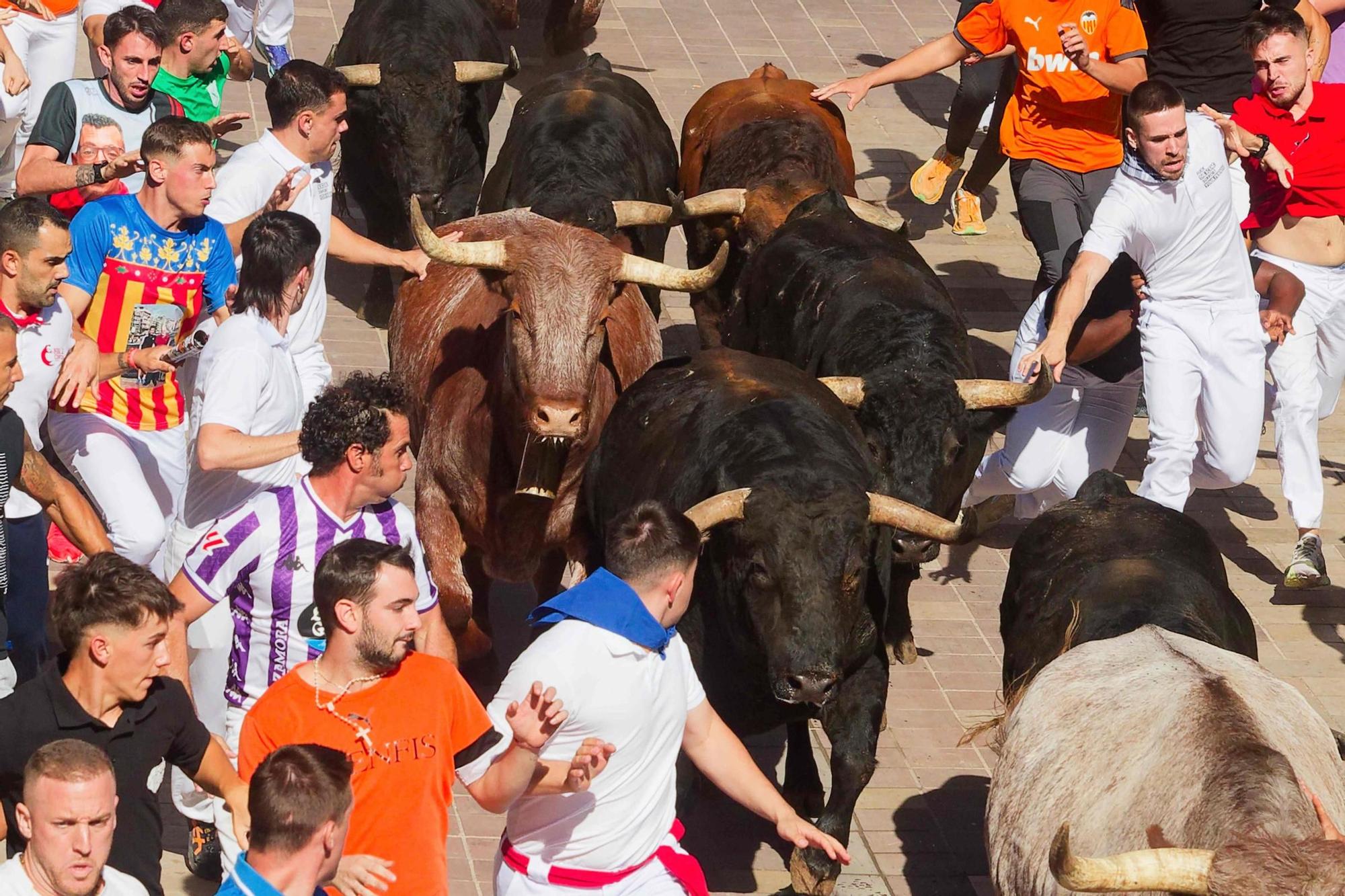 Las imágenes del primer encierro de las fiestas de Almassora