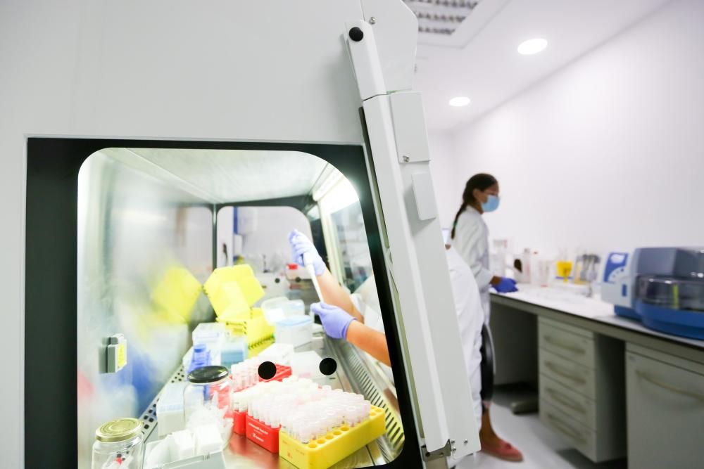 Can Misses ya realiza en Microbiología todas las pruebas de detección del virus en las Pitiusas