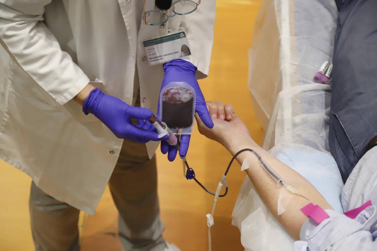 Bolsa de sangre obtenida gracias a la solidaridad de una persona donante.