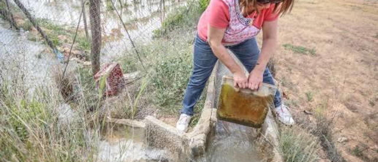 Una agricultora abre una compuerta para regar con agua del trasvase, en una imagen de archivo.