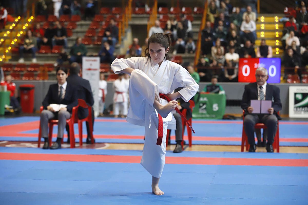 El Campeonato de Andalucía infantil de kárate y de parakárete, en imagenes