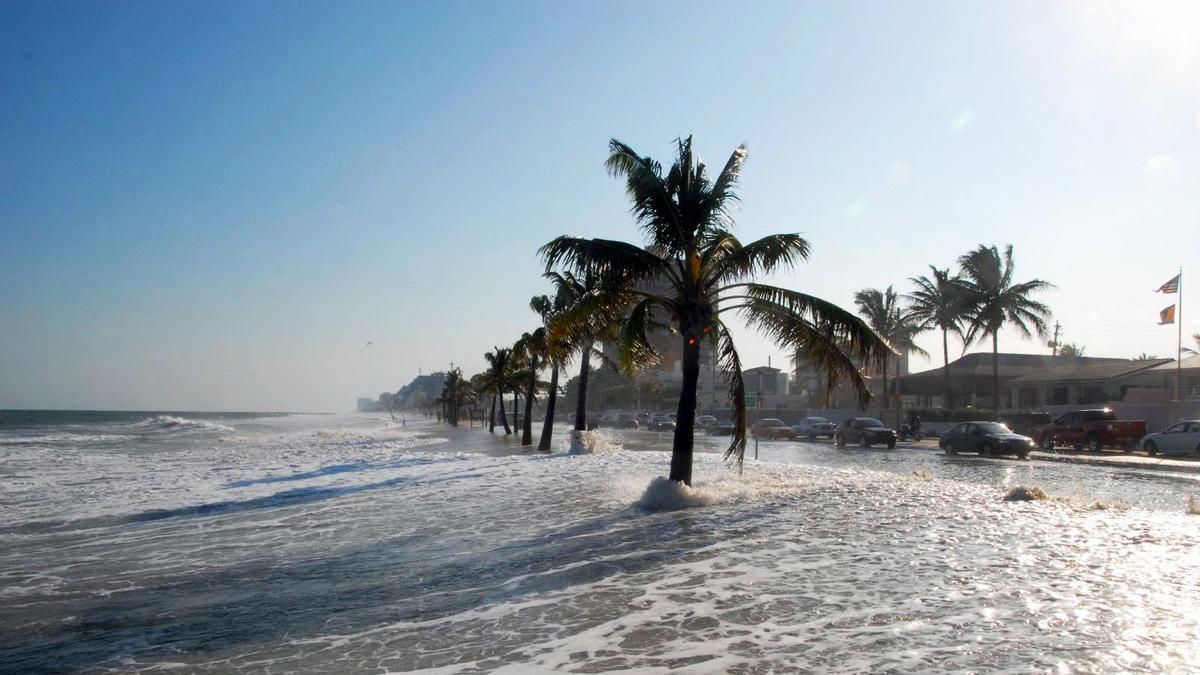 INFORME CLIMA | 2025 registró máximos históricos en emisiones atmosféricas, subida del mar y calor oceánico