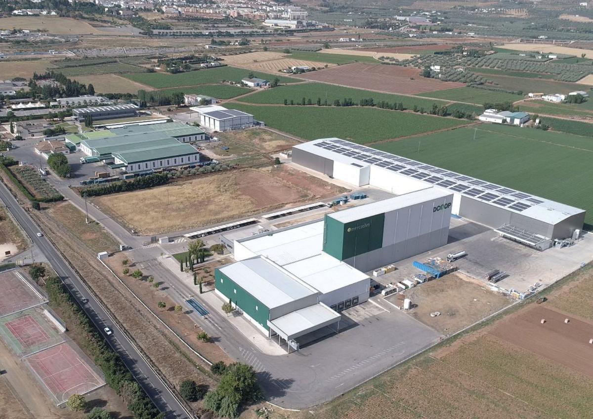 Vista aérea de las instalaciones de Dcoop.| | LA OPINIÓN