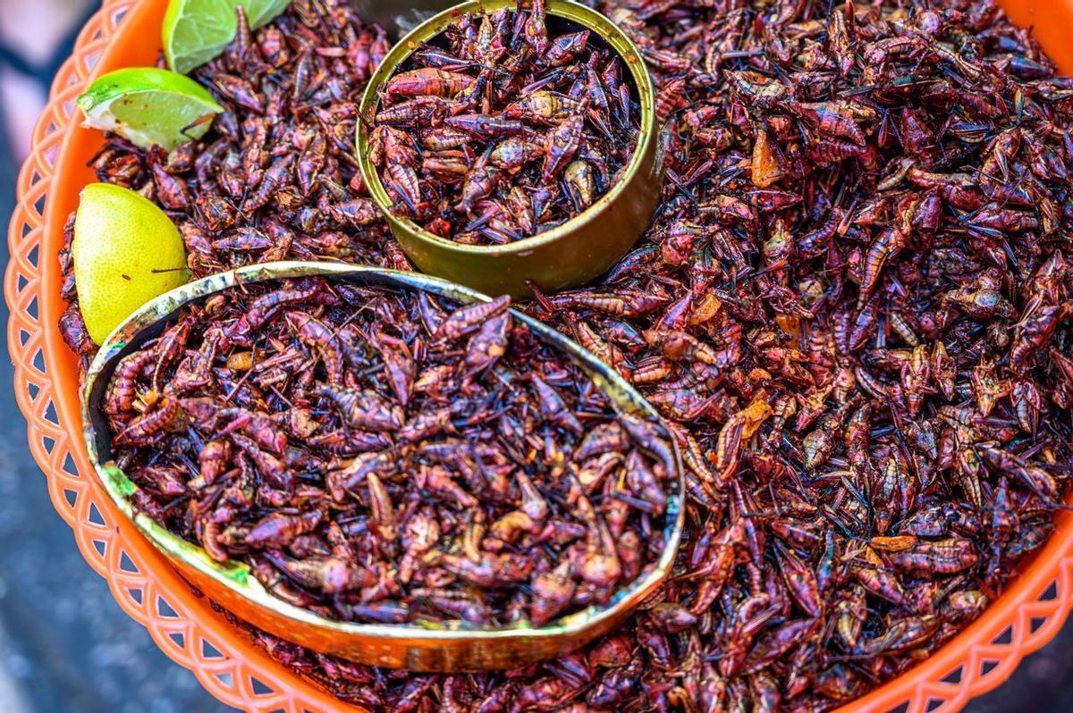 chapulines con sal y limon