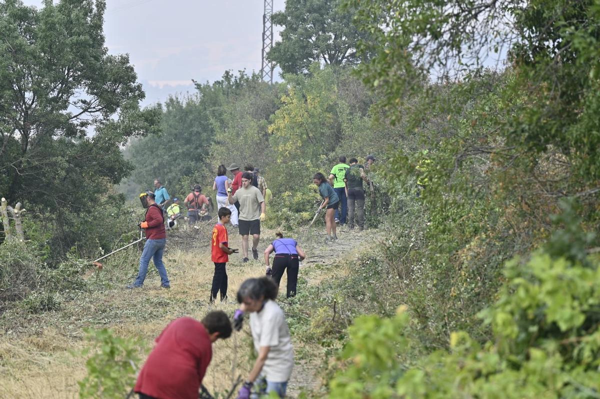 Vecinos de Navasa crean cortafuegos para defender su pueblo.