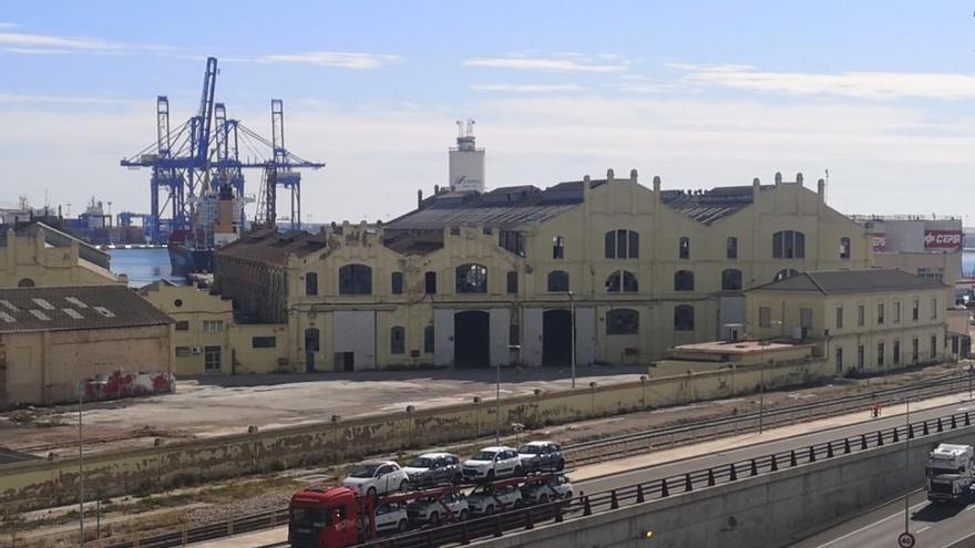 Espacio destinado a la nueva terminal de pasajeros.