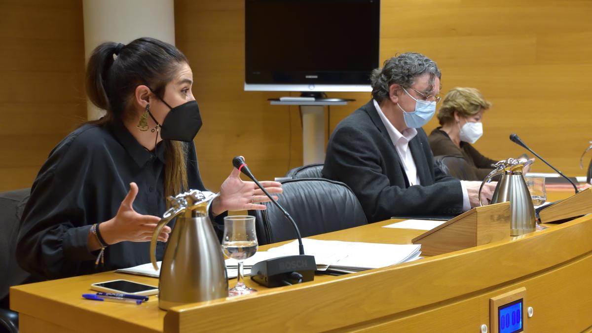 La consellera de Agricultura, Mireia Mollà (i), realizó ayer la comparecencia en Les Corts por el caso de los burros.