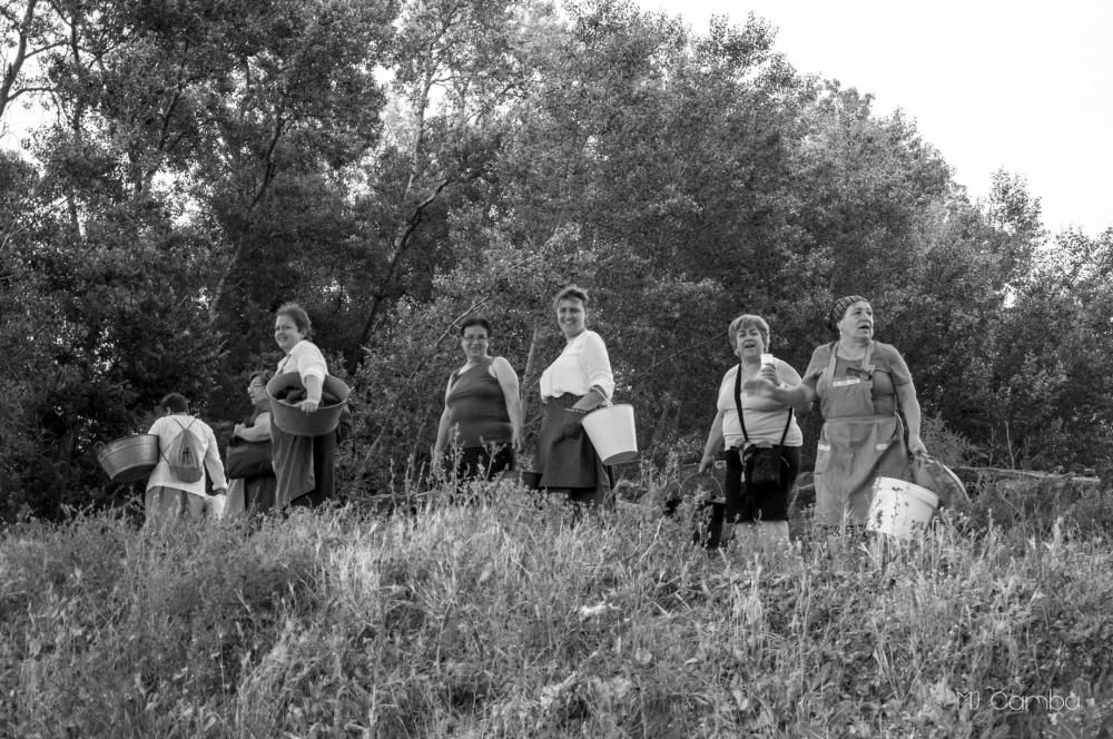 28 mujeres vuelven a los lavaderos de Venialbo.