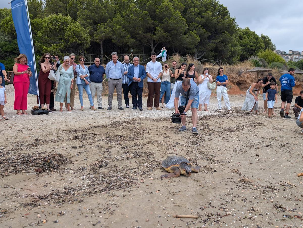 GALERÍA I La presentación de la nueva campaña para rescatar tortugas marinas, en imágenes