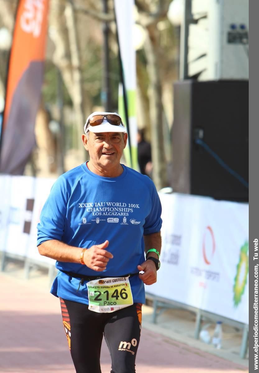 VII Marató BP Castelló y IV 10k Ciutat de Castelló Galería III