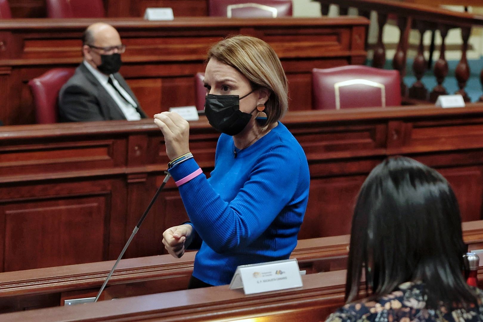 Pleno del Parlamento de Canarias (08/02/2022)