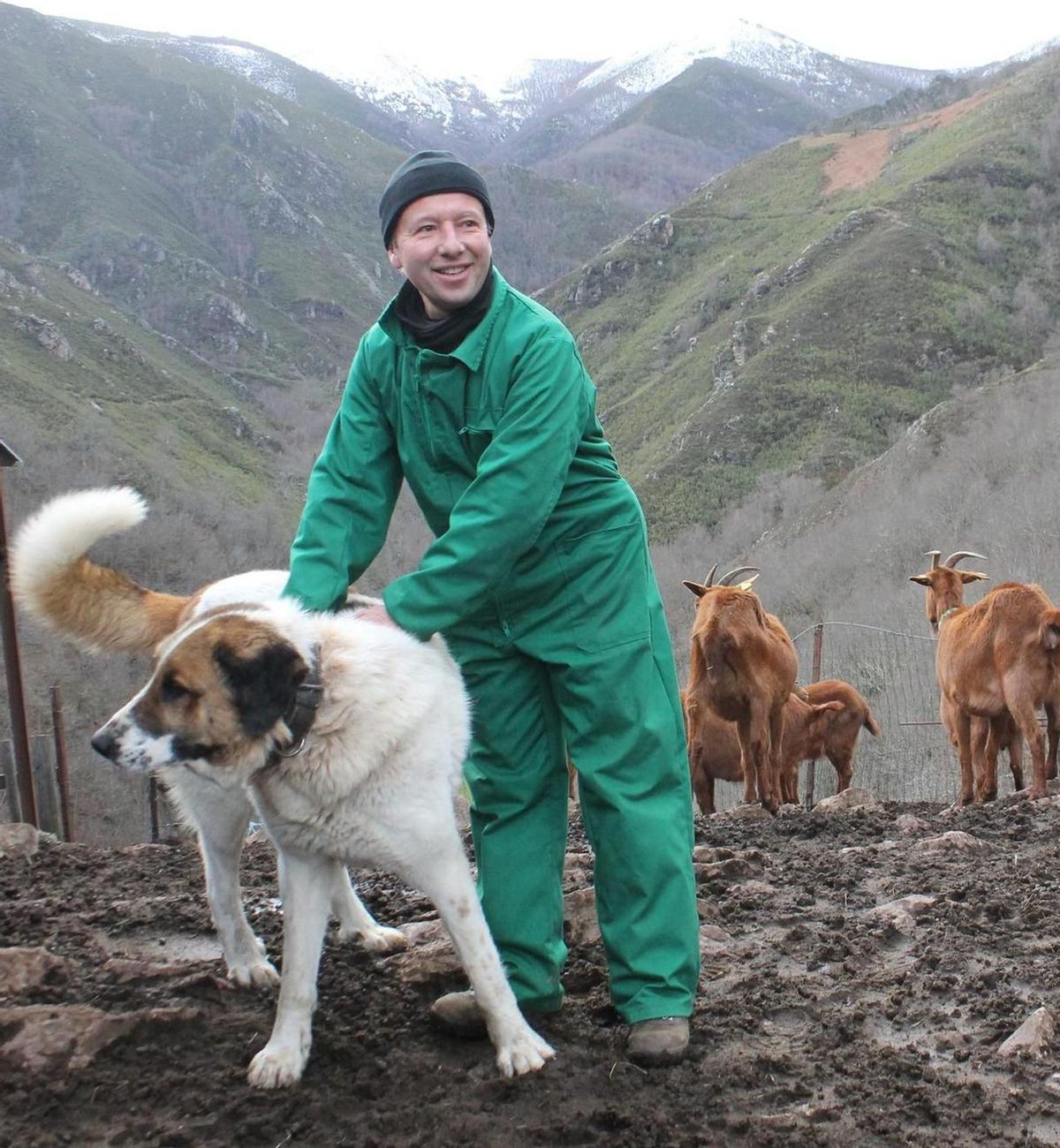 Lisardo García, con "D’Artacan" y el so fatáu de cabres bermeyes, en Vixidel (Teberga). | SARA ARIAS