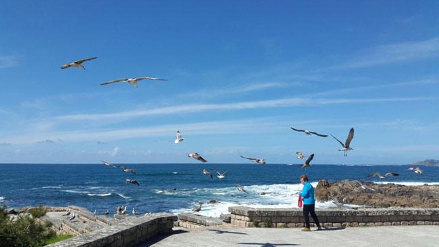 Baiona disfruta de las últimas horas de buen tiempo