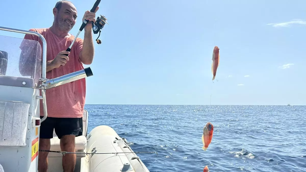 Arranca la pesca del raor en Mallorca: primeras capturas y menos barcos de lo habitual
