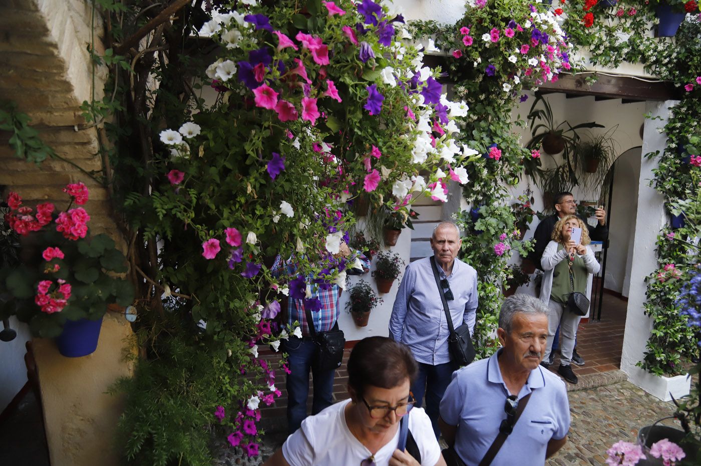 Patios de Córdoba: San Basilio 44