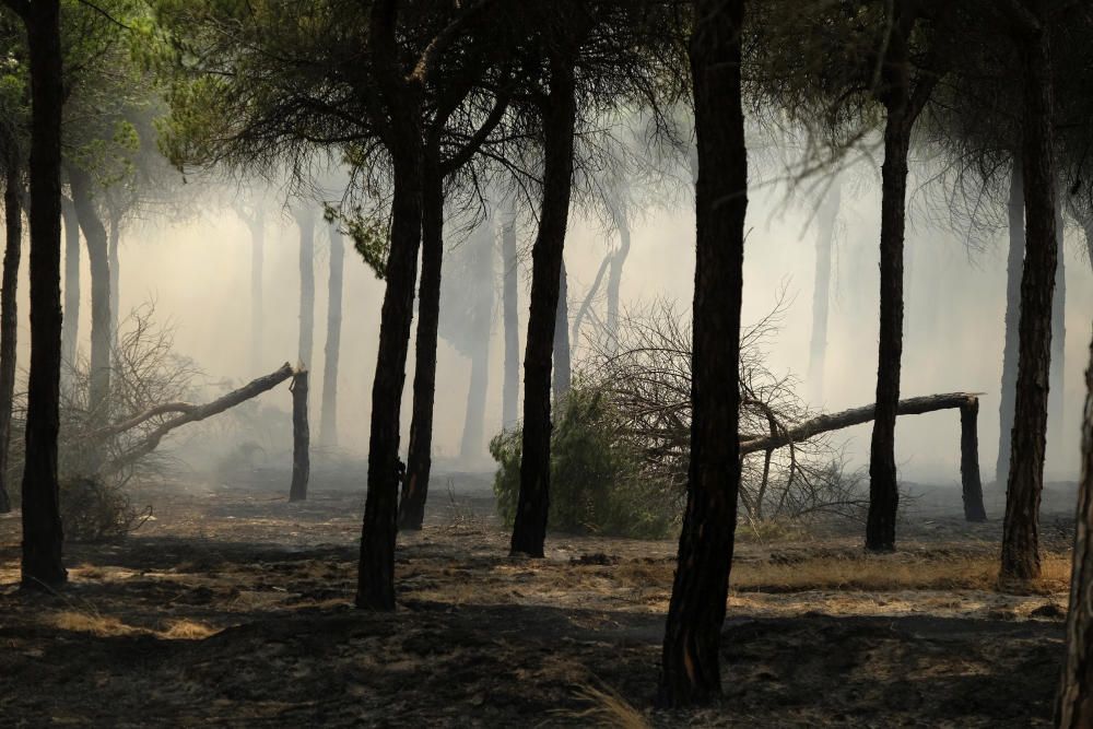 Incendio en Huelva