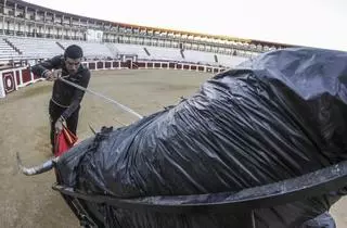 Lances de Futuro solo ofertó un torero del primer escalafón para la feria de Cáceres