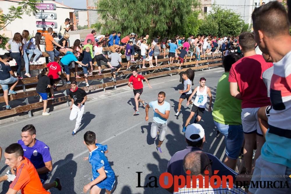 Cuarto encierro Fiestas de Moratalla