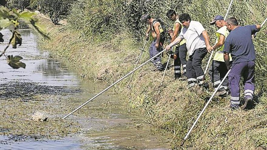 Castelló destinará más de 100.000 euros al año a limpiar las acequias