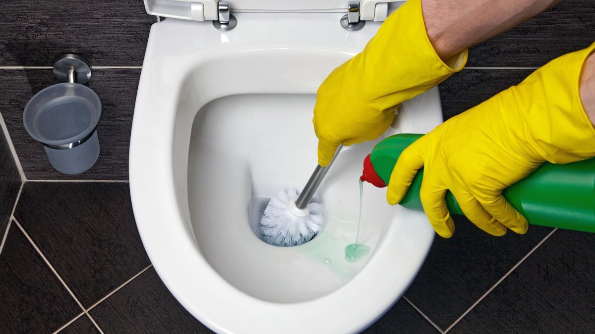 LIMPIAR INODORO | Así puedes limpiar una de las partes más difíciles del váter