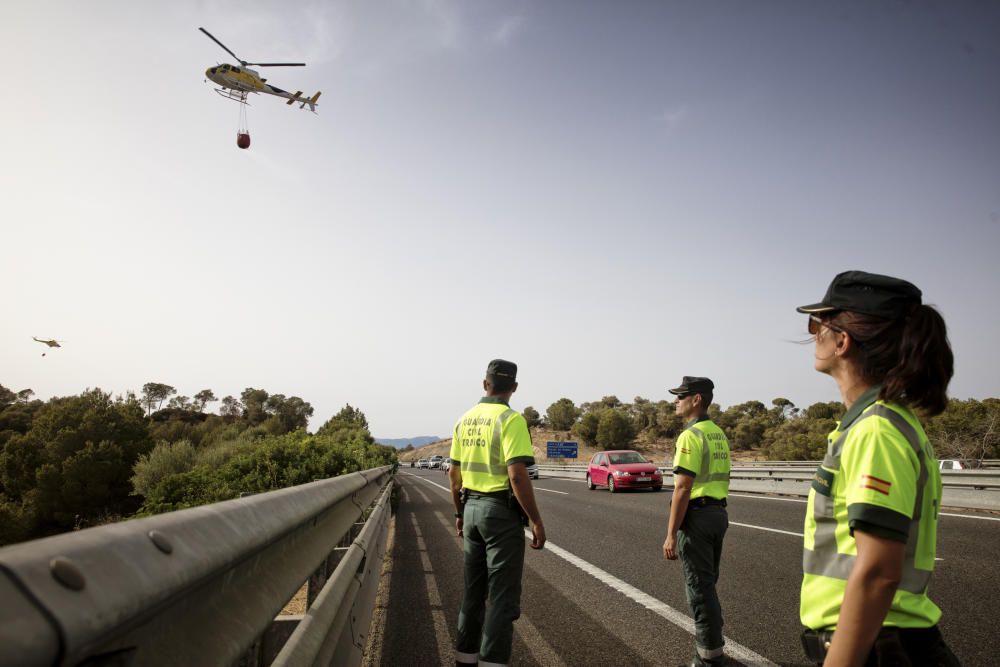 Alarma por un incendio forestal junto a la autopista de Llucmajor