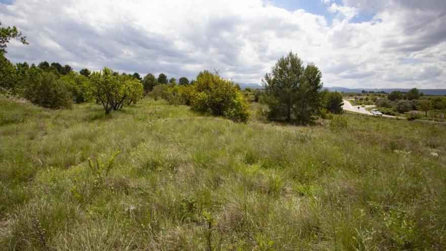 Albaida, Palomar y Bufali se alían para acelerar un macroproyecto solar