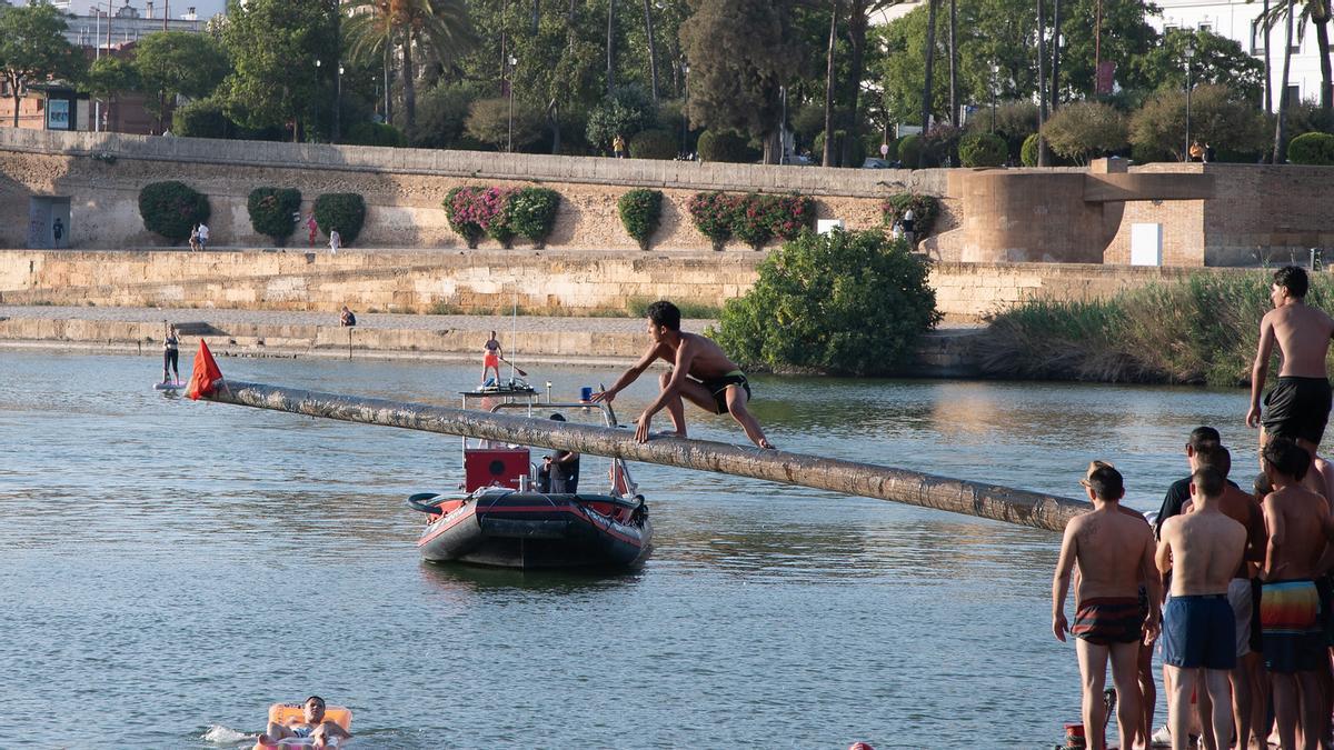 Un participante de la cucaña en el río Guadalquivir durante la Velá de Santa Ana