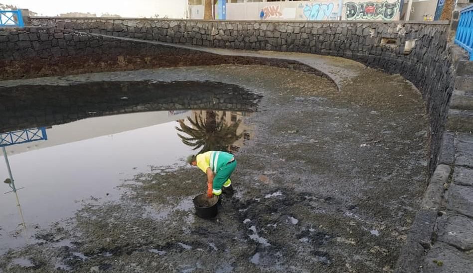 Limpieza  del interior del Charco de San Ginés en