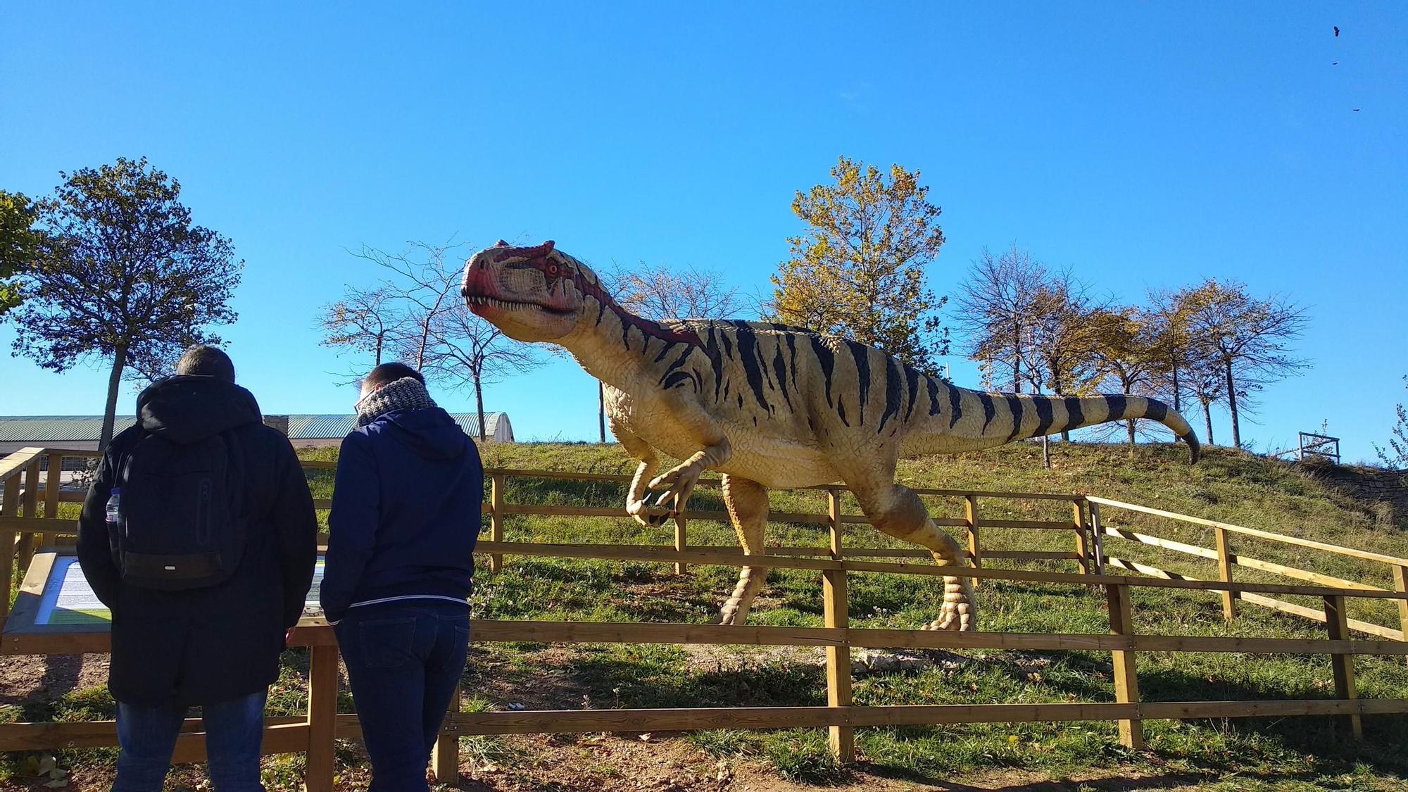 'llosaurus fragilis en la alameda de Morella