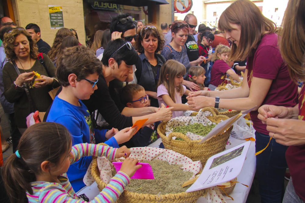 Multitudinaria festa pel valencià en Muro