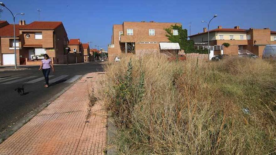 La Urbanización Guadiana de Badajoz urge la limpieza de solares y una poda a fondo del arbolado