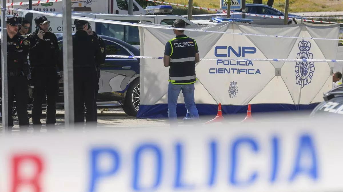Portnov estuvo en Ucrania tres d赤as antes de su asesinato en Madrid