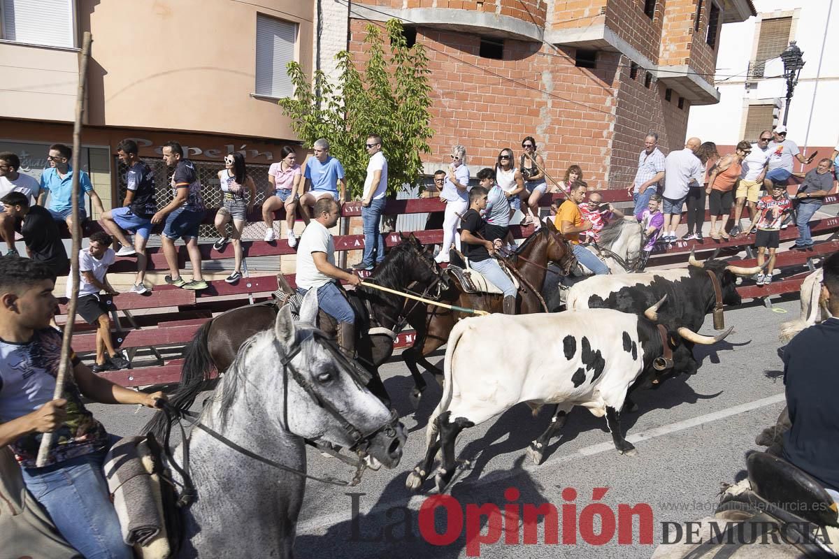 Séptimo encierro de las Fiestas de Moratalla