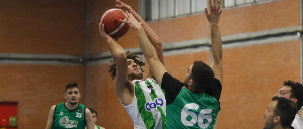 Fernando Mellado lanza a canasta con el Coto Ciudad de Córdoba en un partido de la pasada temporada.