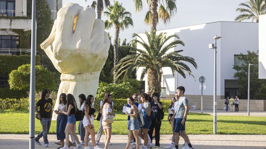 Así es el curso tecnológico de la UA con 100% de empleabilidad y que encima te paga 300 euros